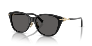 แว่นกันแดด Tiffany & Co TF4267F-8001S4 มุมเฉียง สีดำ สำหรับผู้หญิง