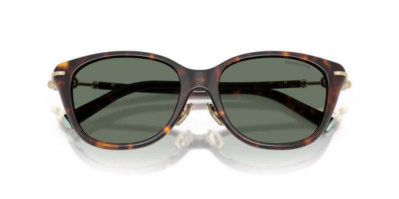 แว่นกันแดด Tiffany & Co TF4267F-80153H close-up ด้านหน้า