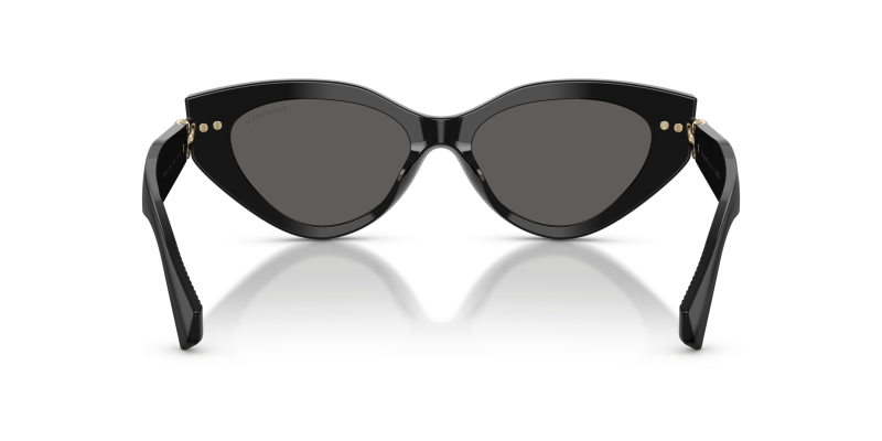 แว่นกันแดด Tiffany & Co TF4268U-8001S4 ขาแว่นด้านใน