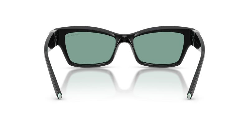แว่นกันแดด Tiffany & Co TF4269U-847782 ขาแว่นด้านใน