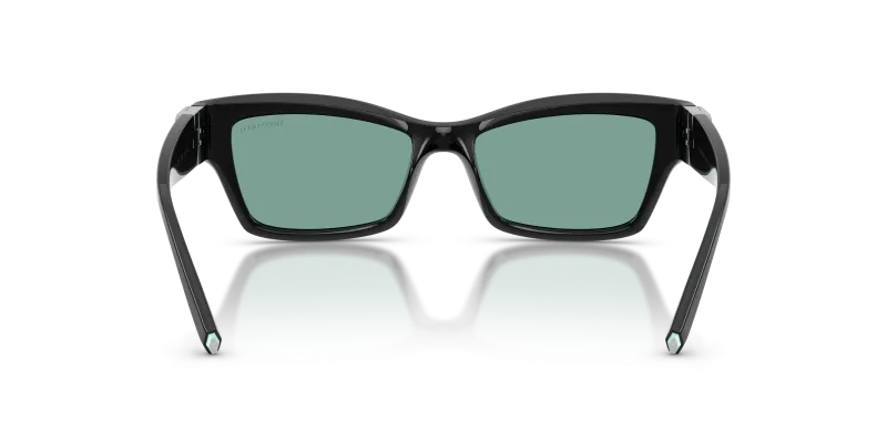 แว่นกันแดด Tiffany & Co TF4269U-847782 ขาแว่นด้านใน