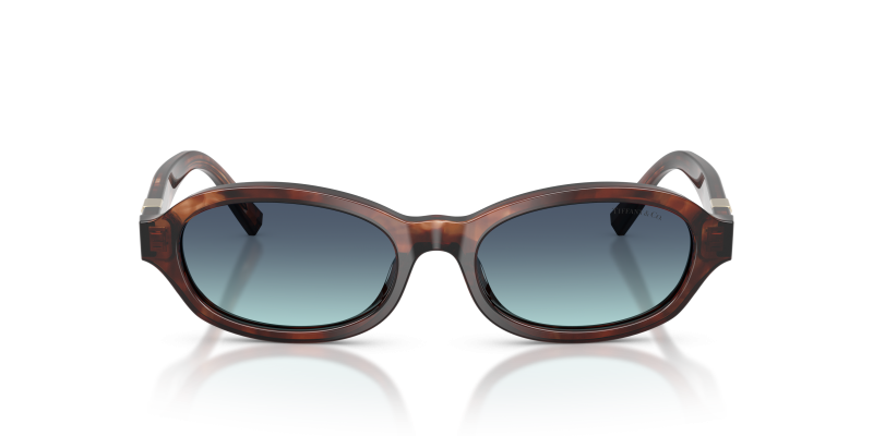 แว่นกันแดด Tiffany & Co TF4270U-84219S ด้านหน้า