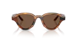 แว่นกันแดด Emporio Armani EA4264U-633973 Striped Dark Brown Brown แว่นกันแดด Emporio Armani EA4264U-633973 ด้านหน้า