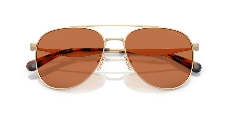แว่นกันแดด Coach HC7190-900573 close-up ด้านหน้า