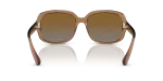 แว่นกันแดด Coach HC8169-5561T5 Transparent Brown Brown Grey Gradient Polarized แว่นกันแดด Coach HC8169-5561T5 ขาแว่นด้านใน