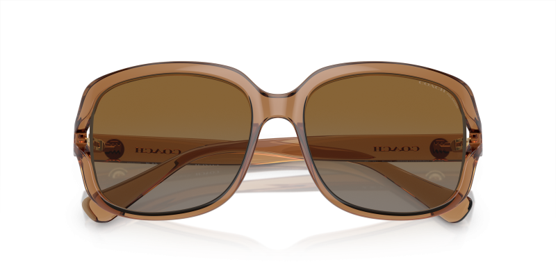 แว่นกันแดด Coach HC8169-5561T5 close-up ด้านหน้า