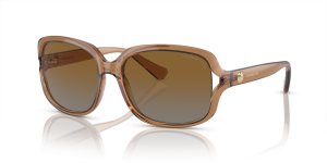 แว่นกันแดด Coach HC8169-5561T5 มุมเฉียง สีน้ำตาลโปร่งใส สำหรับผู้หญิง