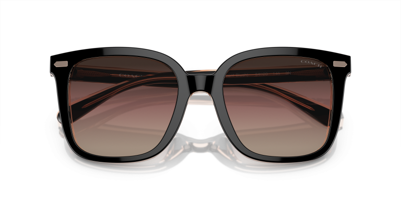 แว่นกันแดด Coach HC8381F-5781E2 close-up ด้านหน้า