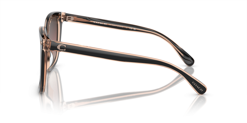 แว่นกันแดด Coach HC8381F-5781E2 มุมข้าง ขาแว่นสีดำ/บรัชโปร่งใส