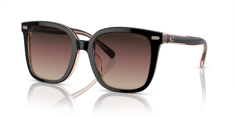 แว่นกันแดด Coach HC8381F-5781E2 Black Violet แว่นกันแดด Coach HC8381F-5781E2 มุมเฉียง สีดำ สำหรับผู้หญิง