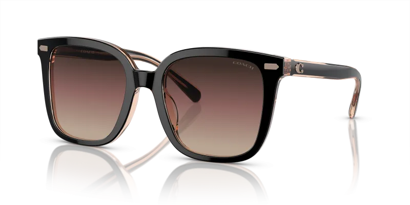 แว่นกันแดด Coach HC8381F-5781E2 Black Violet แว่นกันแดด Coach HC8381F-5781E2 มุมเฉียง สีดำ สำหรับผู้หญิง