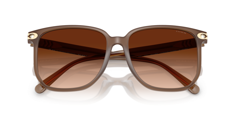 แว่นกันแดด Coach HC8413BD-580874 close-up ด้านหน้า