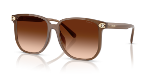 แว่นกันแดด Coach HC8413BD-580874 มุมเฉียง น้ำตาลสีขุ่น สำหรับผู้หญิง