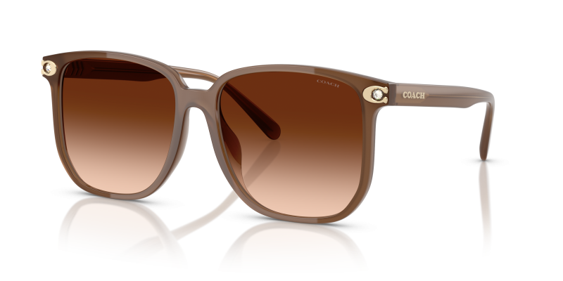 แว่นกันแดด Coach HC8413BD-580874 Milky Brown Brown Gradient แว่นกันแดด Coach HC8413BD-580874 มุมเฉียง น้ำตาลสีขุ่น สำหรับผู้หญิง
