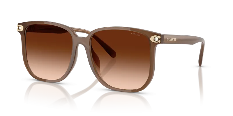 แว่นกันแดด Coach HC8413BD-580874 มุมเฉียง น้ำตาลสีขุ่น สำหรับผู้หญิง