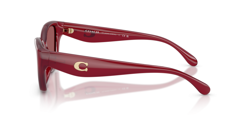 แว่นกันแดด Coach HC8434U-5526D0 มุมข้าง ขาแว่นสี Milky Cherry