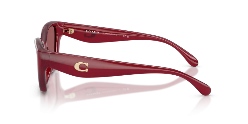 แว่นกันแดด Coach HC8434U-5526D0 มุมข้าง ขาแว่นสี Milky Cherry