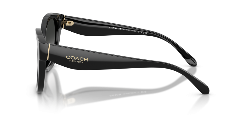 แว่นกันแดด Coach HC8438U-500287 มุมข้าง ขาแว่นสีดำ