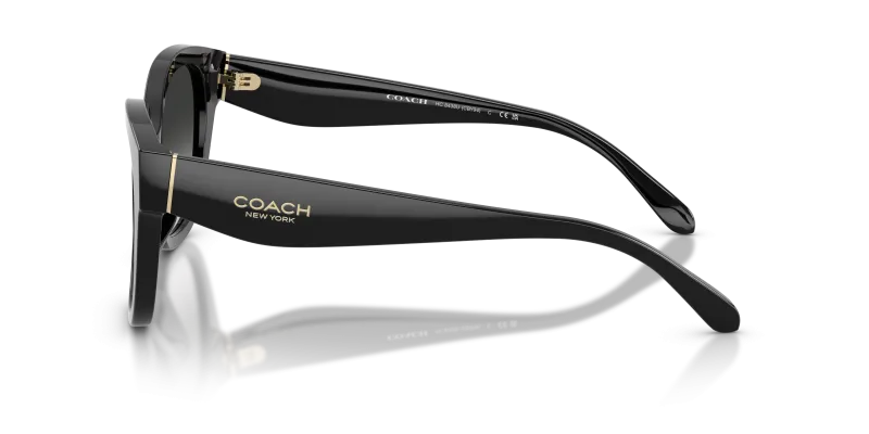 แว่นกันแดด Coach HC8438U-500287 มุมข้าง ขาแว่นสีดำ
