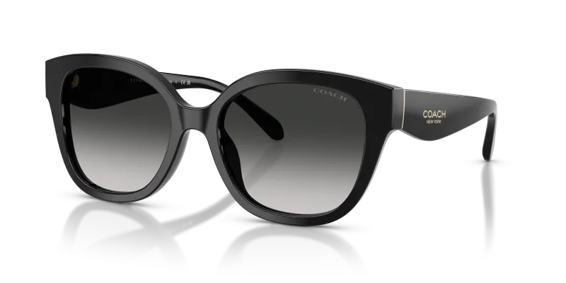 แว่นกันแดด Coach HC8438U-500287 Black Grey Gradient แว่นกันแดด Coach HC8438U-500287 มุมเฉียง สีดำ สำหรับผู้หญิง