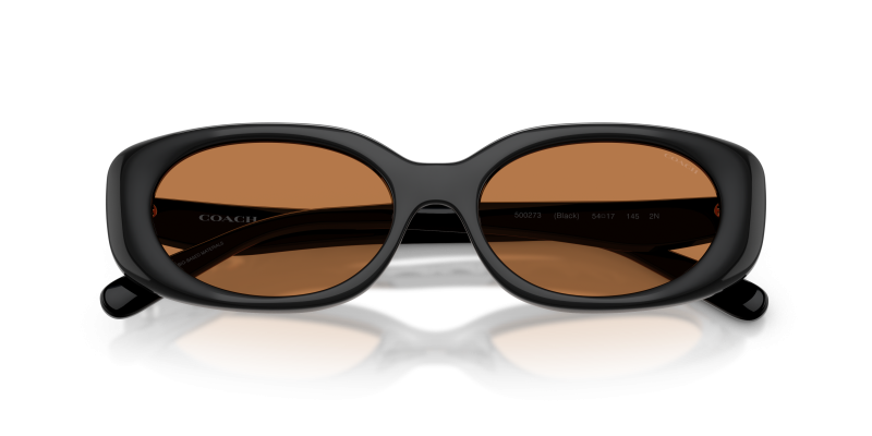 แว่นกันแดด Coach HC8443D-500273 close-up ด้านหน้า