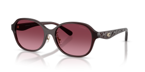 แว่นกันแดด Coach HC8445D-59158H Milky Merlot Merlot Gradient