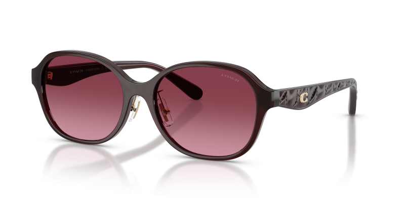 แว่นกันแดด Coach HC8445D-59158H มุมเฉียง สีเมอร์ลอทมิลค์กี้ สำหรับผู้หญิง