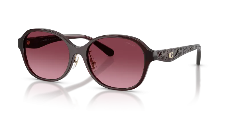 แว่นกันแดด Coach HC8445D-59158H มุมเฉียง สีเมอร์ลอทมิลค์กี้ สำหรับผู้หญิง