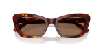 แว่นกันแดด Coach HC8452U-593873 Walnut Tortoise Brown Solid แว่นกันแดด Coach HC8452U-593873 close-up ด้านหน้า