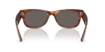 แว่นกันแดด Rayban RB0832SF-954/B1 ขาแว่นด้านใน