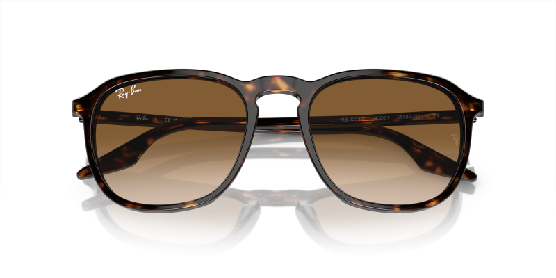 แว่นกันแดด Rayban RB2203F-902/51 close-up ด้านหน้า