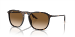 แว่นกันแดด Rayban RB2203F-902/51 Havana Light Brown แว่นกันแดด Rayban RB2203F-902/51 มุมเฉียง สีฮาวานา สำหรับผู้ใช้ทุกเพศ