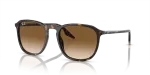 แว่นกันแดด Rayban RB2203F-902/51 มุมเฉียง สีฮาวานา สำหรับผู้ใช้ทุกเพศ