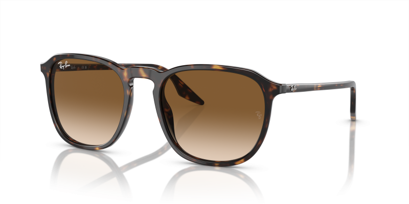 แว่นกันแดด Rayban RB2203F-902/51 Havana Light Brown แว่นกันแดด Rayban RB2203F-902/51 มุมเฉียง สีฮาวานา สำหรับผู้ใช้ทุกเพศ
