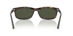 แว่นกันแดด Rayban RB2224F-710/31 Havana Green แว่นกันแดด Rayban RB2224F-710/31 ขาแว่นด้านใน