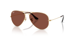 แว่นกันแดด Rayban RB3025-001/C5 มุมเฉียง สีอะริสต้า สำหรับผู้ใช้ทุกเพศ