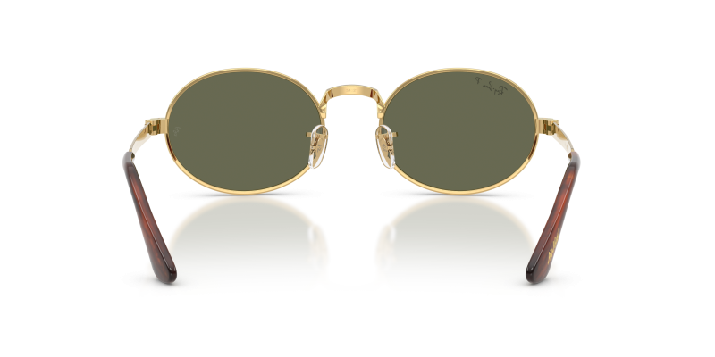 แว่นกันแดด Rayban RB3931-001/58 ขาแว่นด้านใน