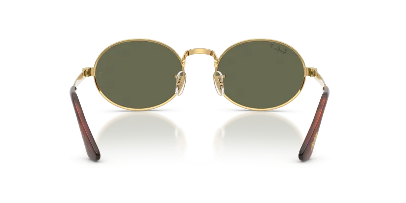 แว่นกันแดด Rayban RB3931-001/58 ขาแว่นด้านใน