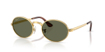 แว่นกันแดด Rayban RB3931-001/58 Arista Polar Green แว่นกันแดด Rayban RB3931-001/58 มุมเฉียง สีอะริสต้า สำหรับผู้ใช้ทุกเพศ