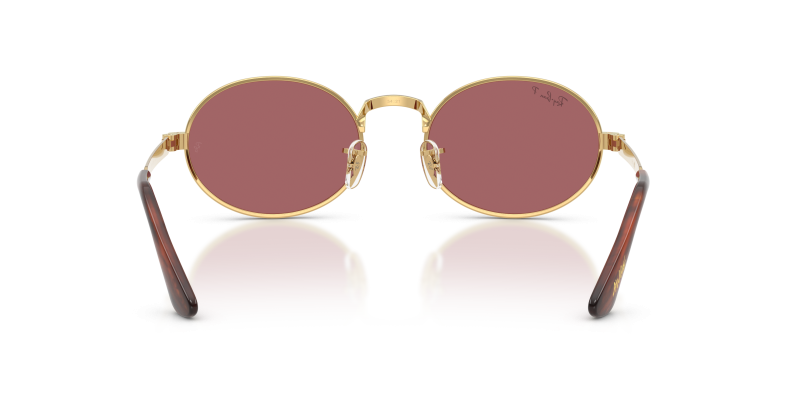 แว่นกันแดด Rayban RB3931-001/AF ขาแว่นด้านใน