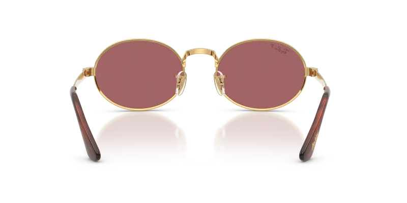แว่นกันแดด Rayban RB3931-001/AF ขาแว่นด้านใน