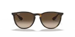 แว่นกันแดด Rayban Erika RB4171F-865/13 Havana Brown Gradient แว่นกันแดด Rayban RB4171F-865/13 ด้านหน้า