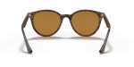 แว่นกันแดด Rayban RB4305F-710/83 Light Havana Polar Brown แว่นกันแดด Rayban RB4305F-710/83 ขาแว่นด้านใน