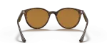 แว่นกันแดด Rayban RB4305F-710/83 Light Havana Polar Brown แว่นกันแดด Rayban RB4305F-710/83 ขาแว่นด้านใน