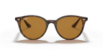 แว่นกันแดด Rayban RB4305F-710/83 Light Havana Polar Brown แว่นกันแดด Rayban RB4305F-710/83 ด้านหน้า
