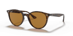แว่นกันแดด Rayban RB4305F-710/83 Light Havana Polar Brown แว่นกันแดด Rayban RB4305F-710/83 มุมเฉียง สีฮาวานาอ่อน สำหรับผู้ใช้ทุกเพศ