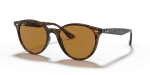 แว่นกันแดด Rayban RB4305F-710/83 Light Havana Polar Brown แว่นกันแดด Rayban RB4305F-710/83 มุมเฉียง สีฮาวานาอ่อน สำหรับผู้ใช้ทุกเพศ