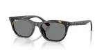 แว่นกันแดด Rayban RB4474D-710/87 Havana Dark Grey แว่นกันแดด Rayban RB4474D-710/87 มุมเฉียง สีฮาวานา สำหรับผู้ใช้ทุกเพศ