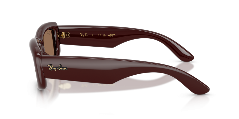 แว่นกันแดด Rayban RB4944-687773 มุมข้าง ขาแว่นสีน้ำตาลโปร่งใส
