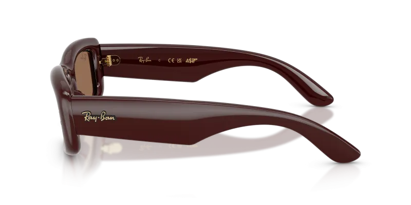 แว่นกันแดด Rayban RB4944-687773 มุมข้าง ขาแว่นสีน้ำตาลโปร่งใส